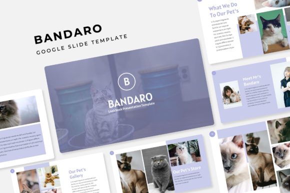 Bandaro: A Flexible Google Slide Template for Modern Presentations